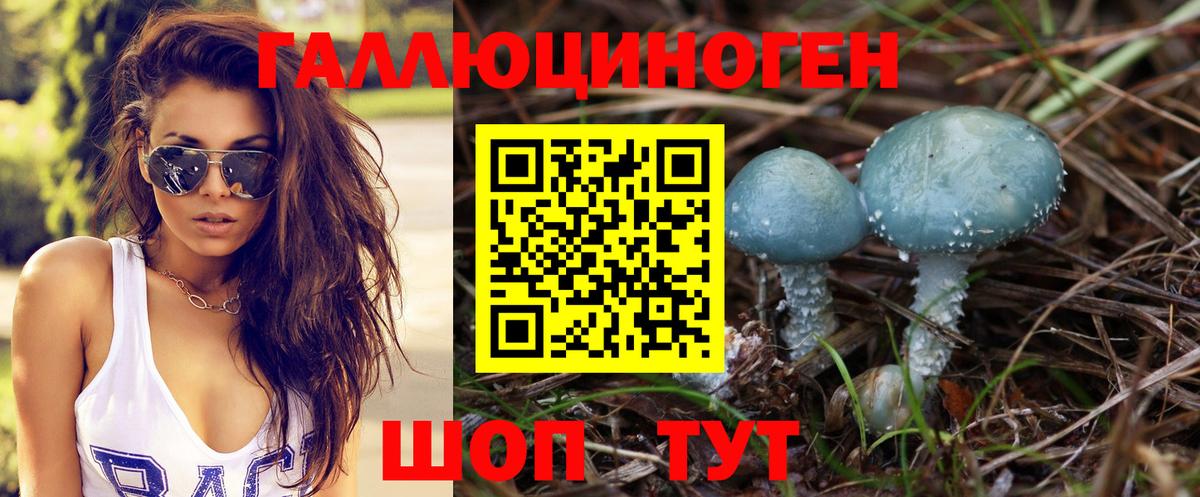 Галлюциногенные грибы Psilocybine cubensis  Вход с VPN  Абакан 